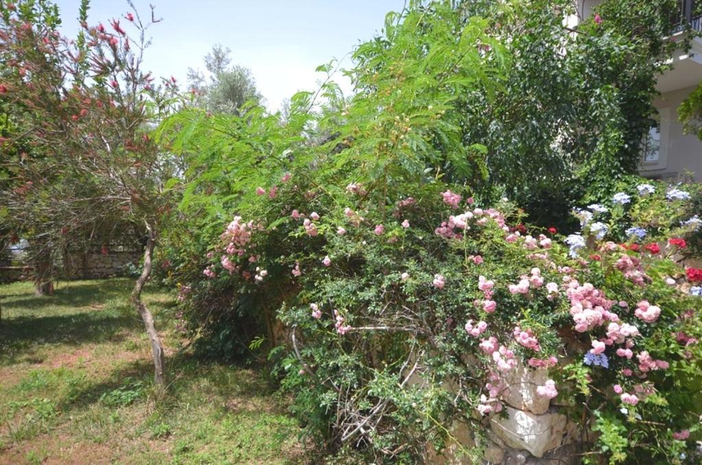 Villa Leton Kleo - Kalkan Center Εξωτερικό φωτογραφία